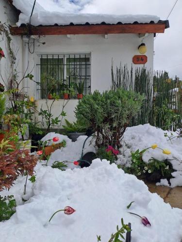 Vuriloche