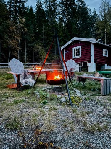 . Charming Old Forest Cabin An Hour From Oslo