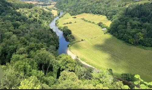 Forest view in 科爾福德中心