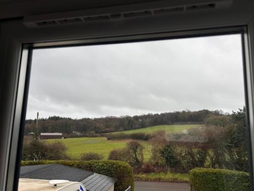 Forest view in 科爾福德中心