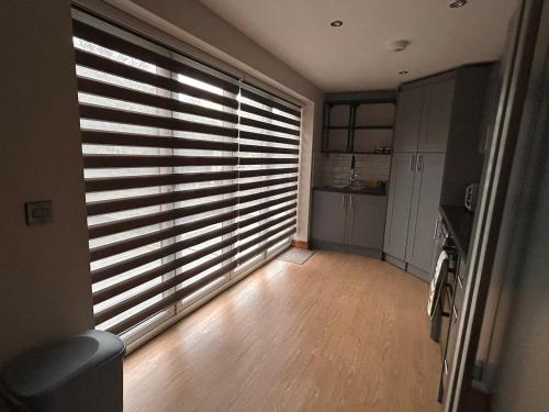 Forest view in 科爾福德中心