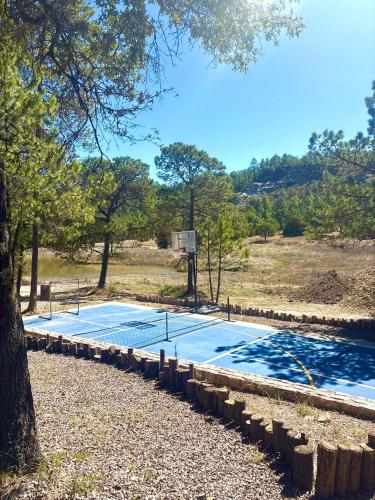 Aurea Glamping Domo Geodésico de lujo (Aurea Glamping Domo Geodesico de lujo) in Refugio