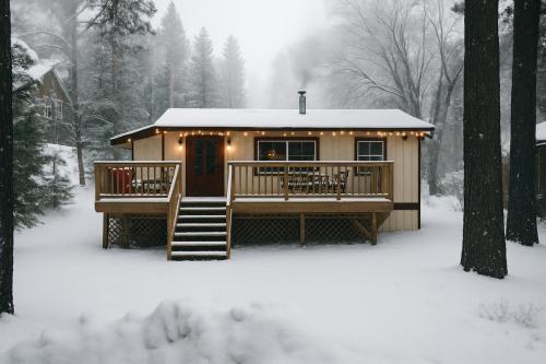 Snow Bunny Cottage, Pets Welcomed! in Green Valley Lake, USA