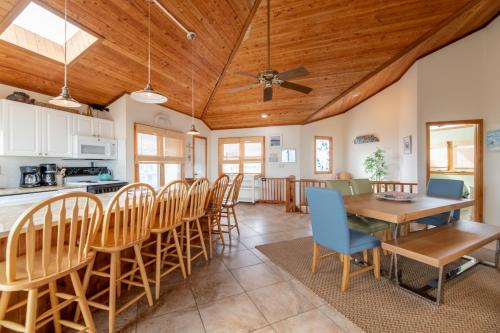 Dolphin Destination - image 24