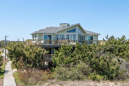 Dolphin Destination - image 26