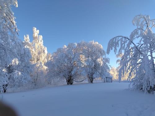 Tunnelmallinen mokki saunalla in Sotkamo