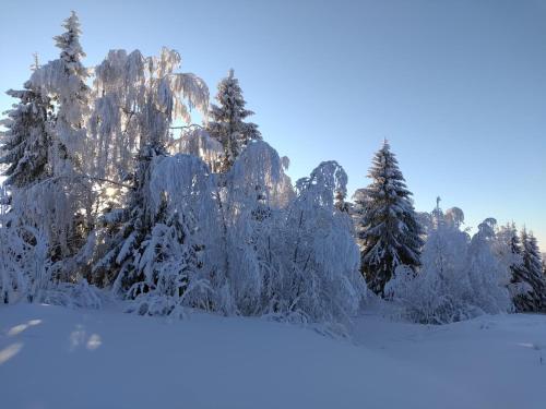 Tunnelmallinen mokki saunalla in Sotkamo