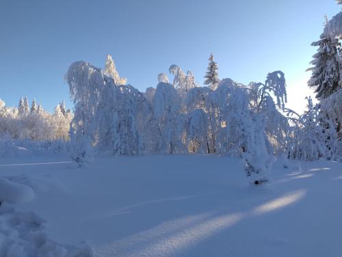 Tunnelmallinen mokki saunalla in Sotkamo