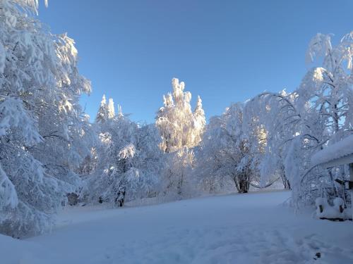 Tunnelmallinen mokki saunalla in Sotkamo