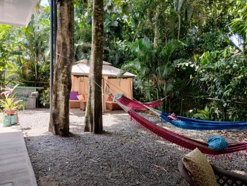 Vedere, Casajungla Hostel in Jaco