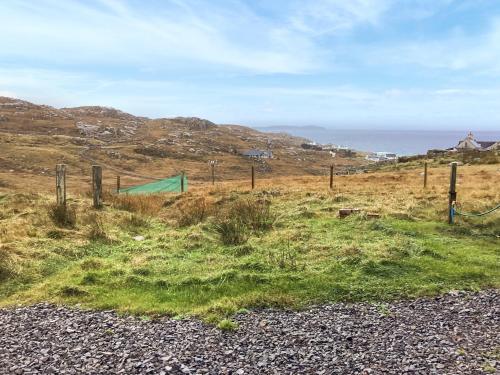 Skats, At Last in Kinlochbervie