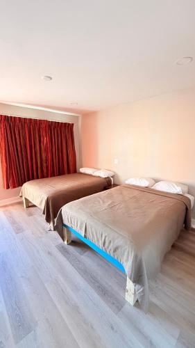 Beachtree Motel in Galveston (TX)