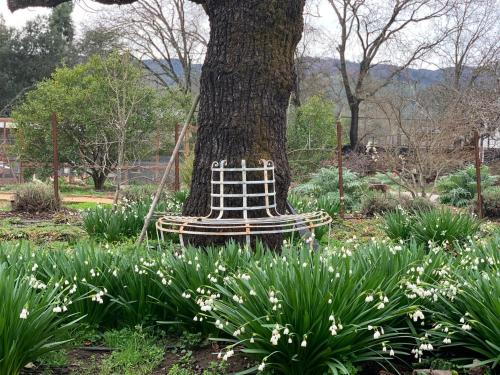 Napa Farmhouse Inn - image 43