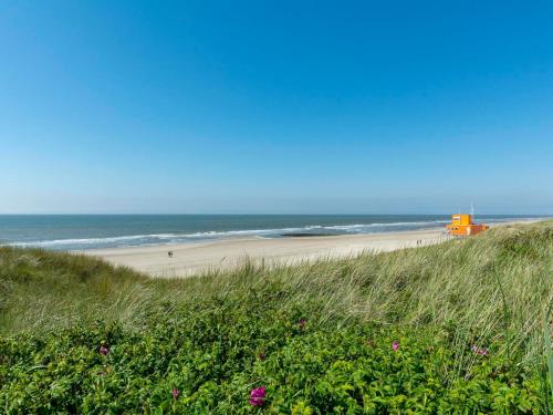 Okolí, De Zeester 4-person holiday home n De Koog in Callantsoog