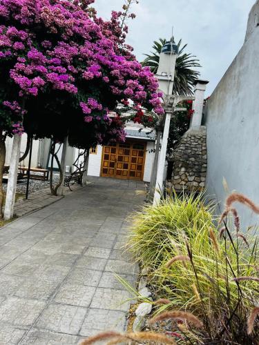 OceanaMarchi - Chimba House