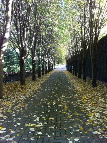  Escapade Ò Gîte in Spa