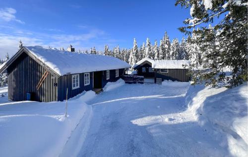 3 Bedroom Awesome Home In Sjusjøen – khách sạn tại Sjusjoen
