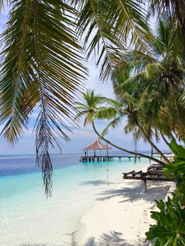 Karanka Villa @ Mahibadhoo – khách sạn tại Omadhoo