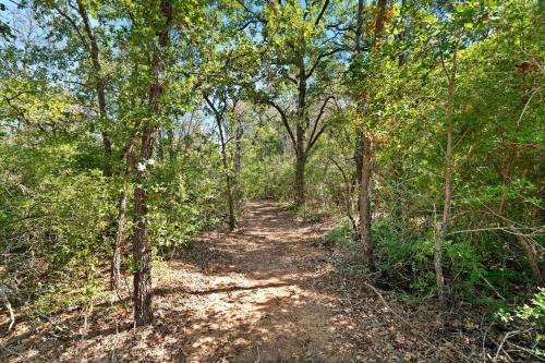 Whimsical Lakefront Tiny Home with Hand-Drawn Doodle Design Near Bastrop, Texas in 埃爾金