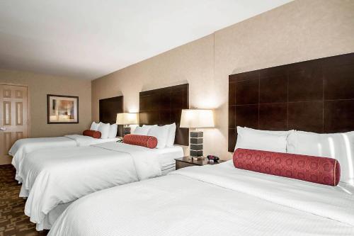 Clarion Inn Elmhurst - Oakbrook - image 30