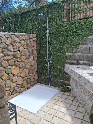 Tema'e Beach House in Moorea Island