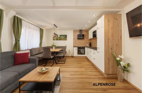 Stögergut by Schladming-Appartements