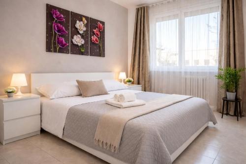 Casa Bramante - Comfort tra Inalpi Arena, Ospedali e Centro, Turín