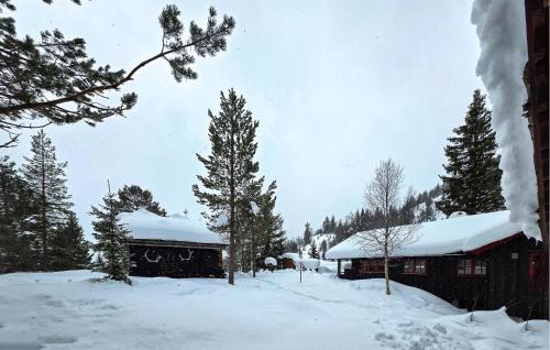 . Gorgeous Home In Flatdal With Sauna