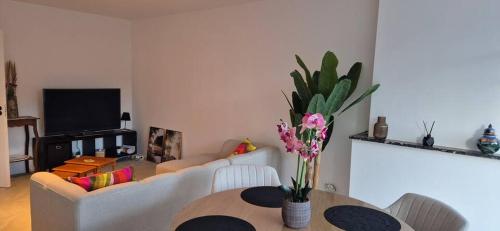 Cosy flat in Merksem