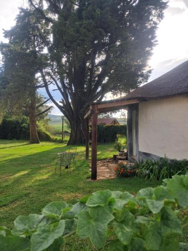Sheeprun Farmstay in Maclear