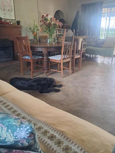 Sheeprun Farmstay in Maclear