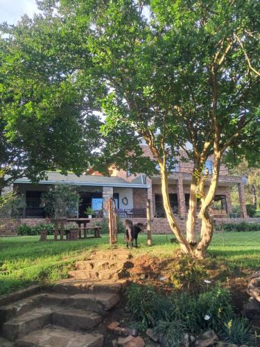 Sheeprun Farmstay in Maclear