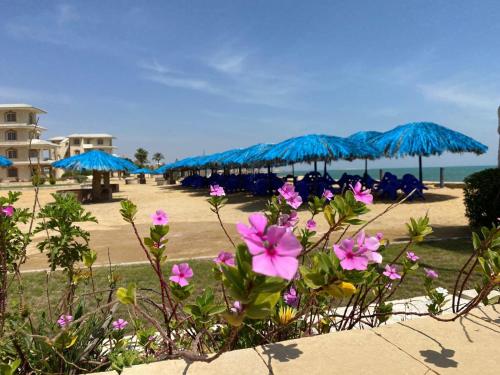 Fanara Apartments Armed Forces - Ismailia