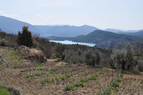 Cozy Apartment in Coscojuela de Sobrarbe, 45 m², View in 托烏莫里約