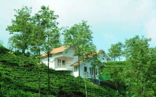 Falcon Crest, Vagamon