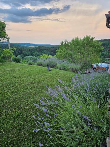 Obiteljska kuća za odmor (Obiteljska kuca za odmor) in 哈爾斯新納