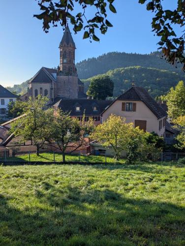Maison Mycelia - Hilsenfirst