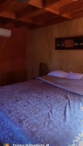 Cabañas domo el manzano de nahuelbuta (Cabanas domo el manzano de nahuelbuta) in Angol