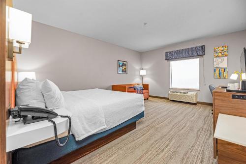 Hampton Inn & Suites New Braunfels - image 17