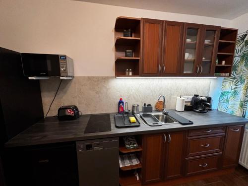 Maxi Apartman in Budaors