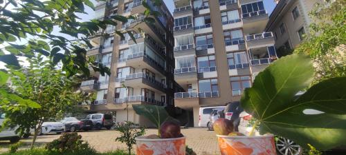 Bıyıklı Home in Mersin (Trabzon)