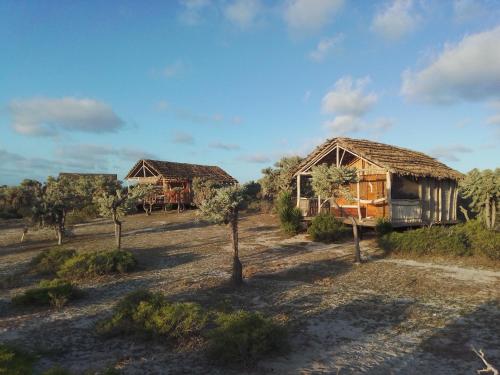 . Camp vezo