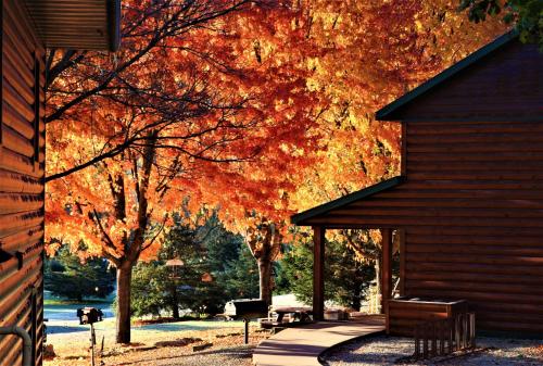 Cedar Valley Resort in 莱恩斯伯勒(MN)