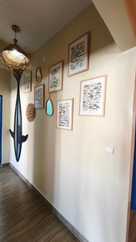 Oprema, Premium Flat Agadir - Immersive rental --- Maison Bleue --- Fast wifi in Dakhla