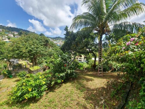 Giardino, Garifuna Retreat Apartment in Kingstown
