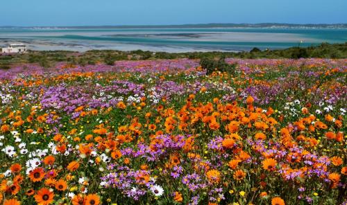 Langebaan Apartment Havana in Seaview Park