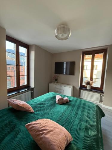 Euro Loft Old Town Apartament 3