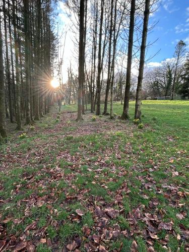 Skats, Hendre Glamping Retreat, The Wren's Nest in Bwlch-y-groes