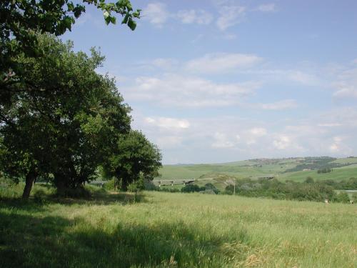  Passaggio in Val d' Orcia in Torrenieri