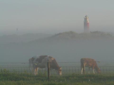 duin/vuurtorenzicht